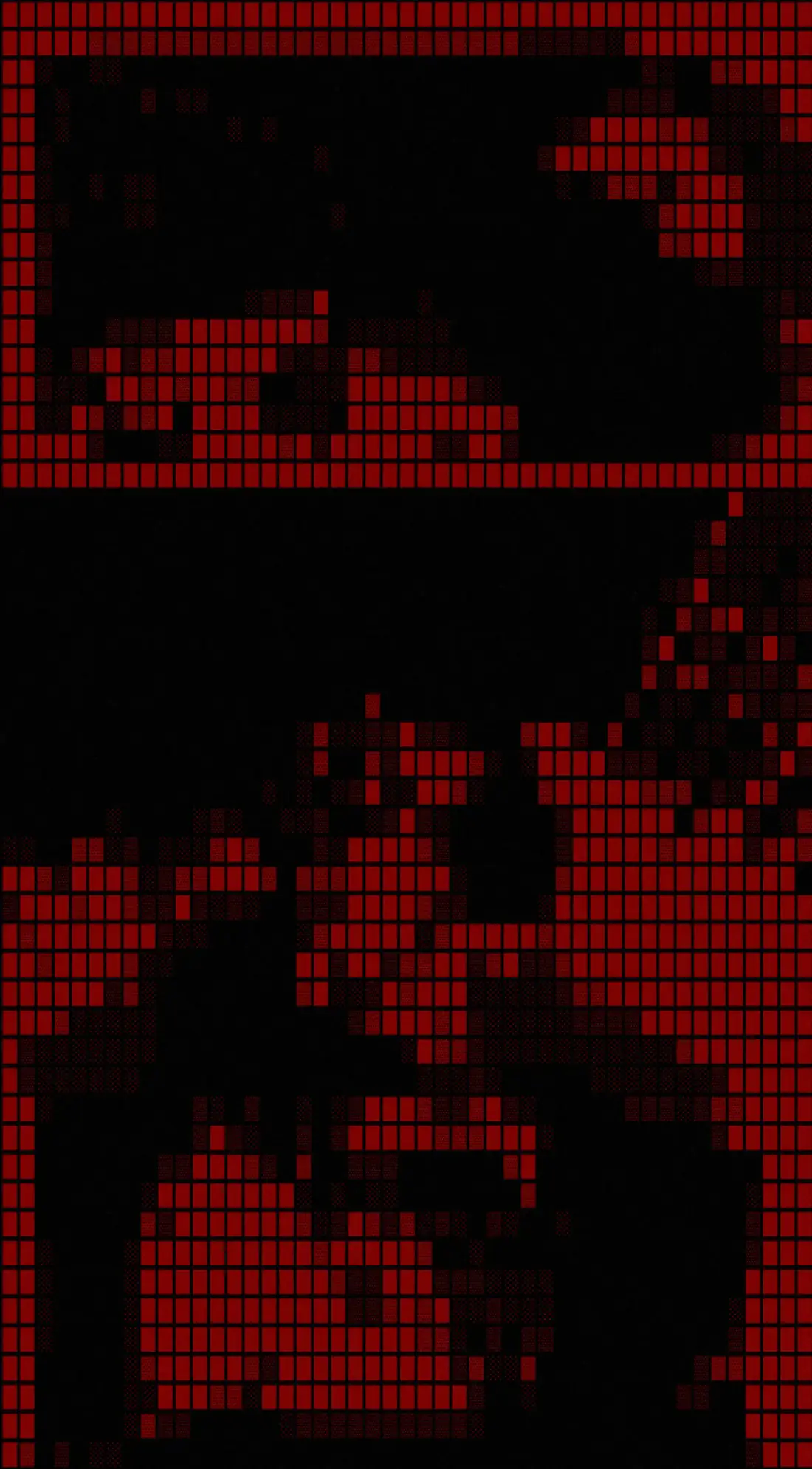 ASCII rendering of the photo
